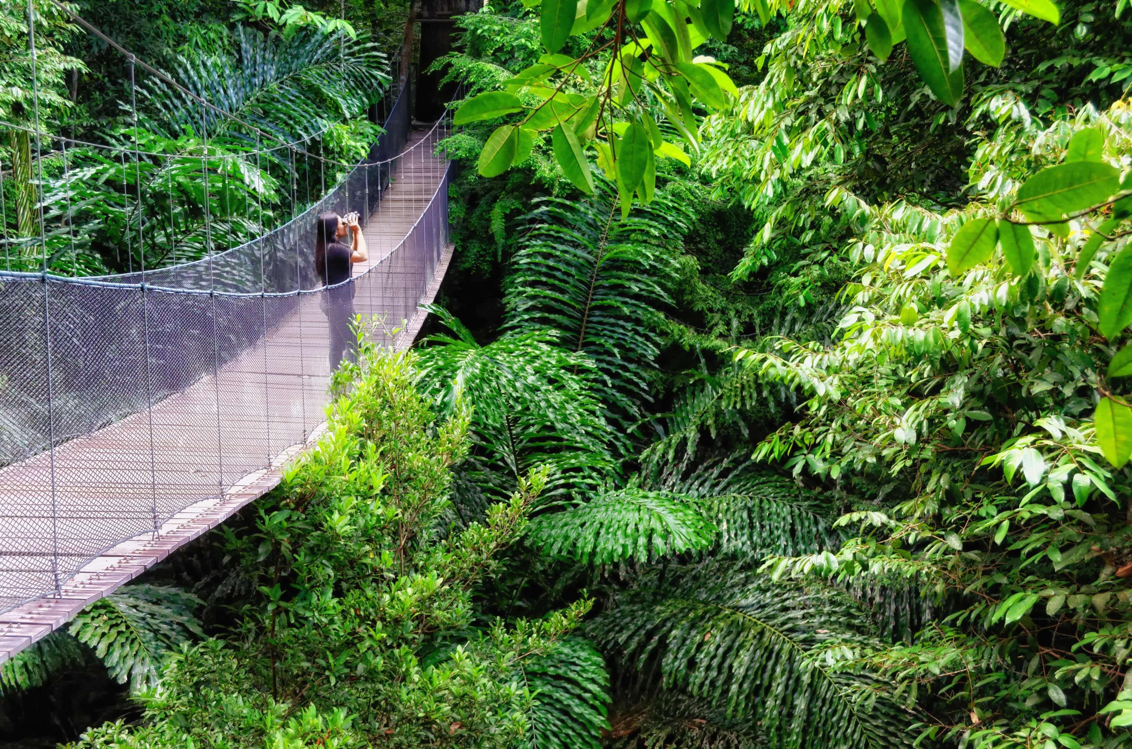 Bunga Raya Island Resort & Spa Gaya Island Exterior photo